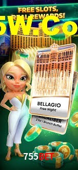 Experiência VIP 755Bet